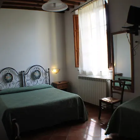 Pardi Lucca